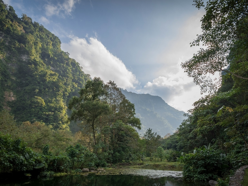 Hombre Que Cree En Duendes Se Sienta En El Bosque A Tomar Fotos